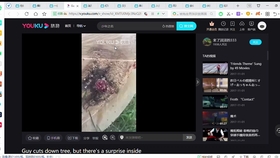 ヒッコリー ホーンド デビル 哔哩哔哩 つロ干杯 Bilibili