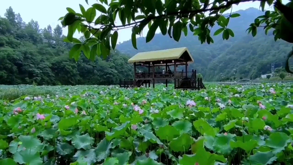 [图]水墨江南，江南春夏秋冬