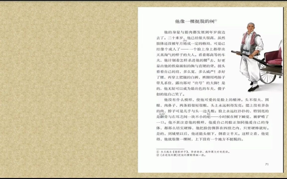 他像一棵挺脱的树哔哩哔哩bilibili