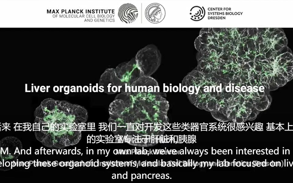 [图]利用肝脏类器官研究人类生理与疾病-德国学者