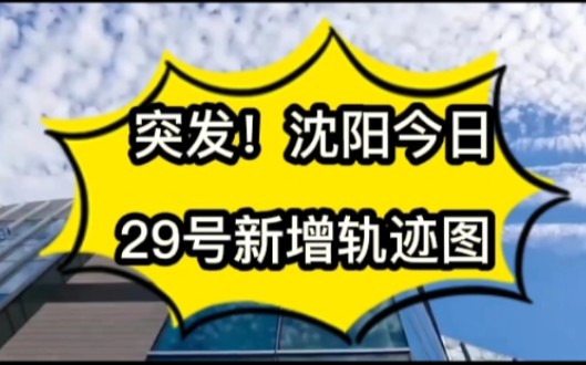 突发!沈阳今日29号新增轨迹图哔哩哔哩bilibili