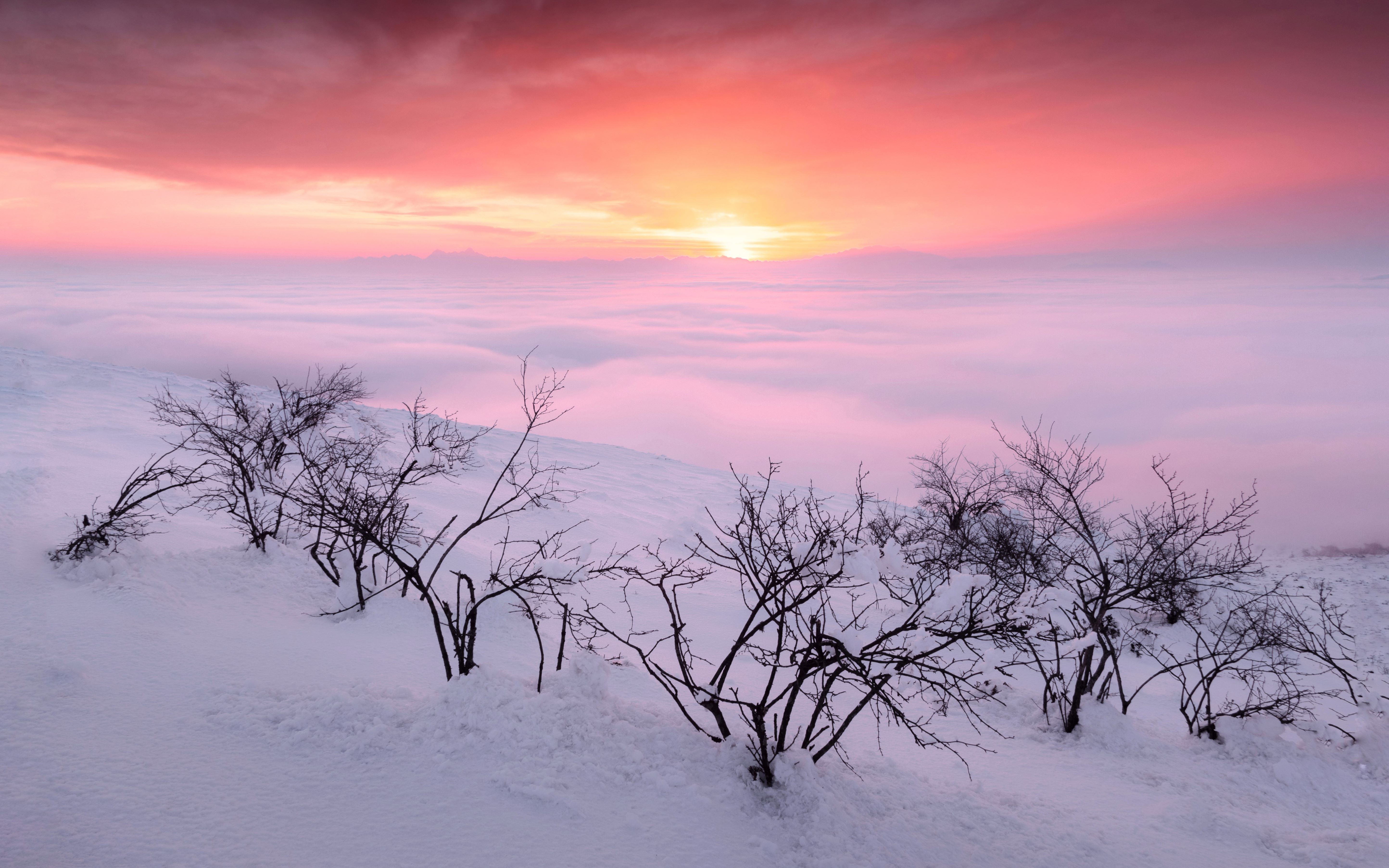 《原野追逐》个人风光摄影作品合集_哔哩哔哩 (゜-゜)つロ 干杯~-bili