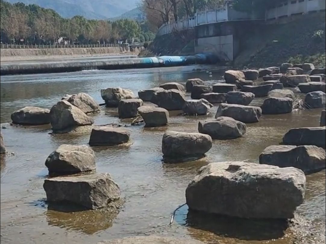 牢记嘱托 建设美丽乡村!《过河的石头》讲述革命老区余姚的生动实践哔哩哔哩bilibili