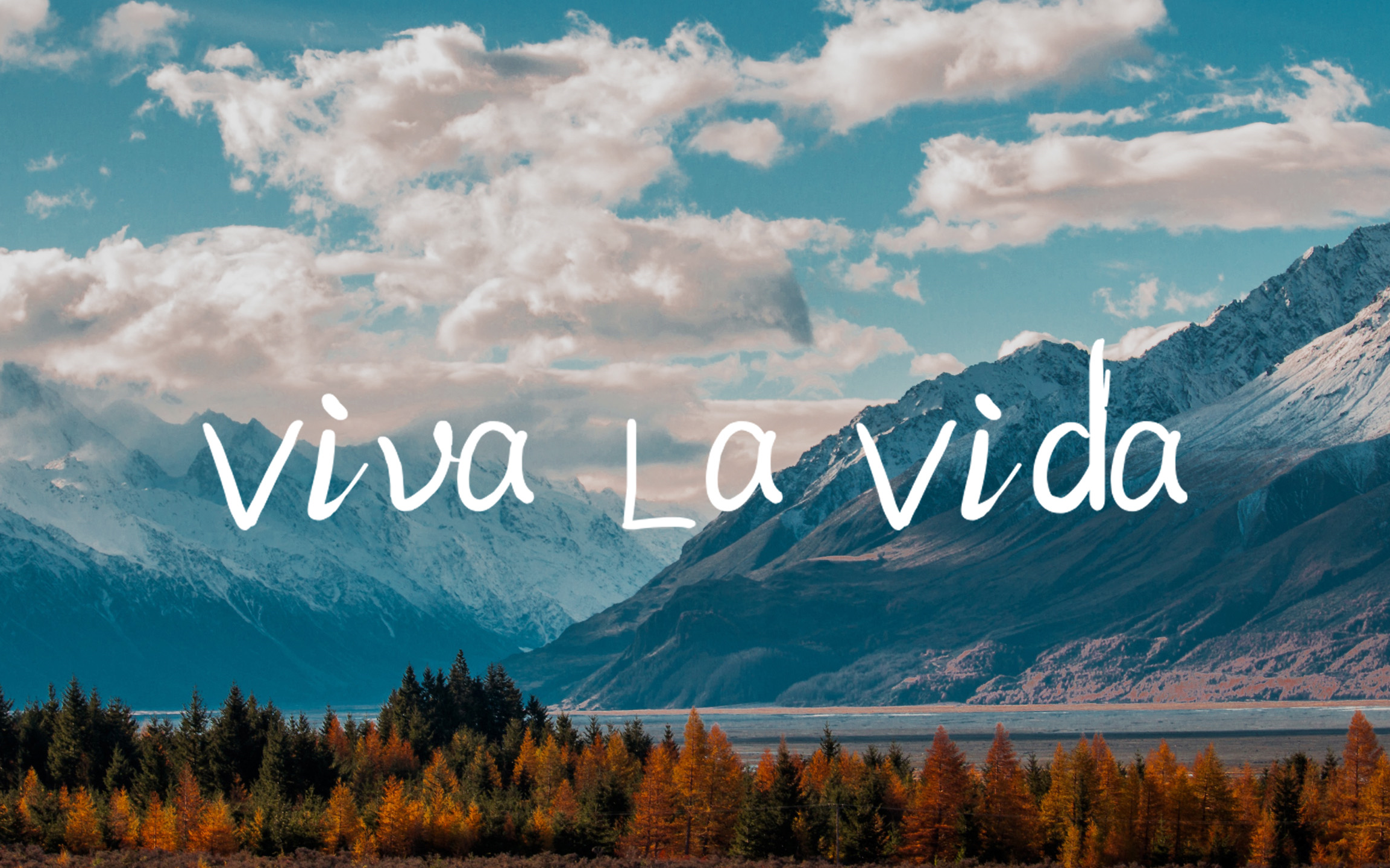 金花家族 的视频下载页面