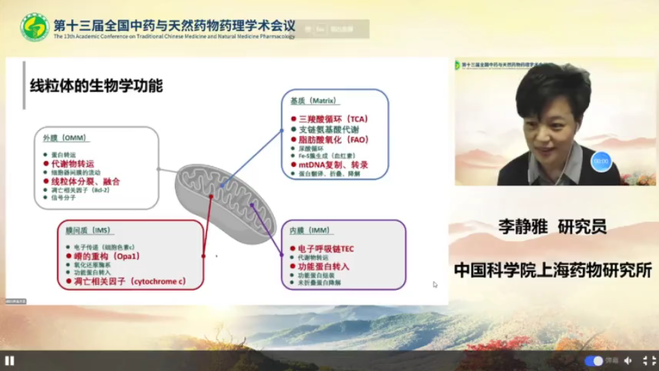 第十三届全国中药与天然药物药理学术会议李静雅闫超哔哩哔哩bilibili