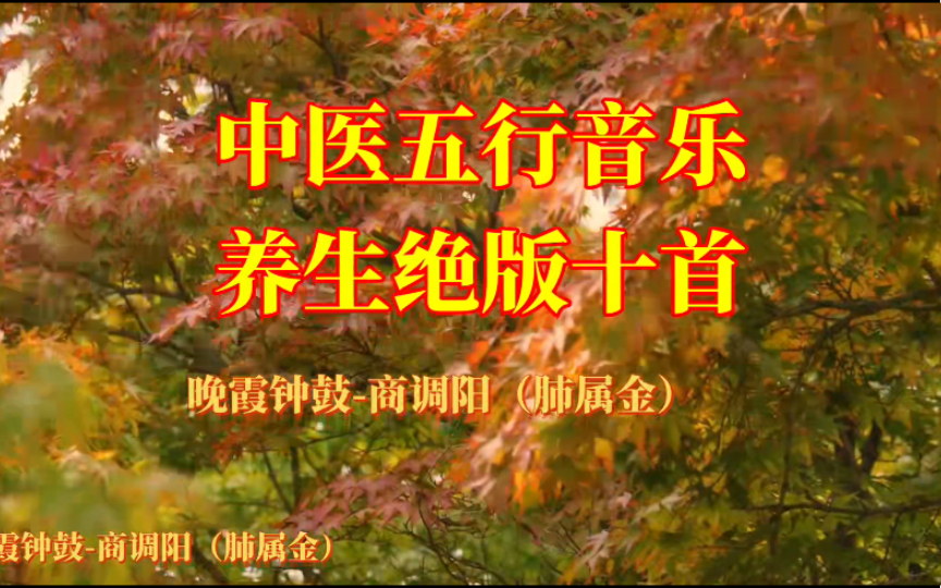 中医五行养生音乐晚霞钟鼓商调阳(肺属金)润肺养肺 咳嗽哔哩哔哩bilibili