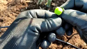 Скачать видео: 为您家庭小菜园安装自动微喷滴灌系统，让浇水更简单，喜欢家庭种植的朋友记得收藏！