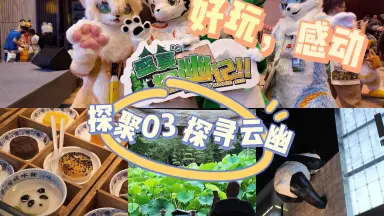 云幽岛-哔哩哔哩_Bilibili