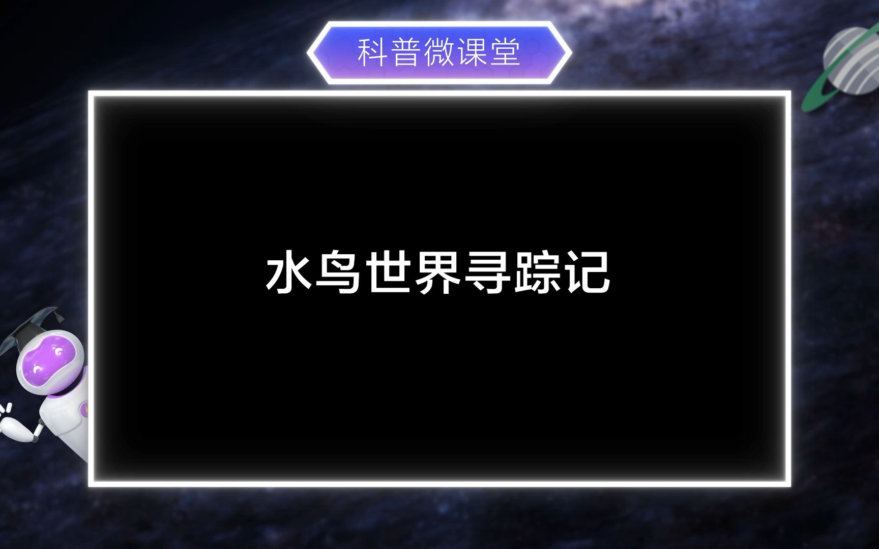 南沙水鸟世界寻踪记,这些水鸟动物你熟悉吗?哔哩哔哩bilibili