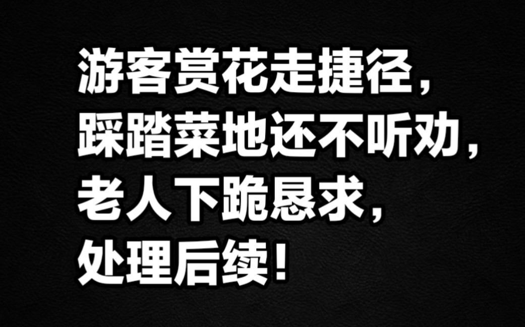 游客赏花走捷径,踩踏菜地还不听劝,老人下跪恳求,处理后续!哔哩哔哩bilibili