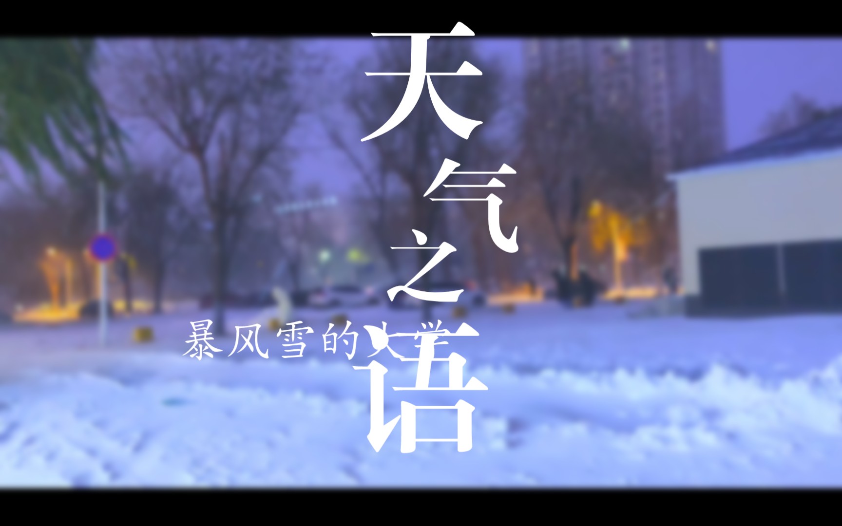 独自走过的风雪:内心独白