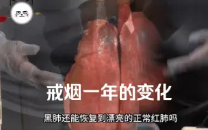 下载视频: 戒烟一年身体的变化！