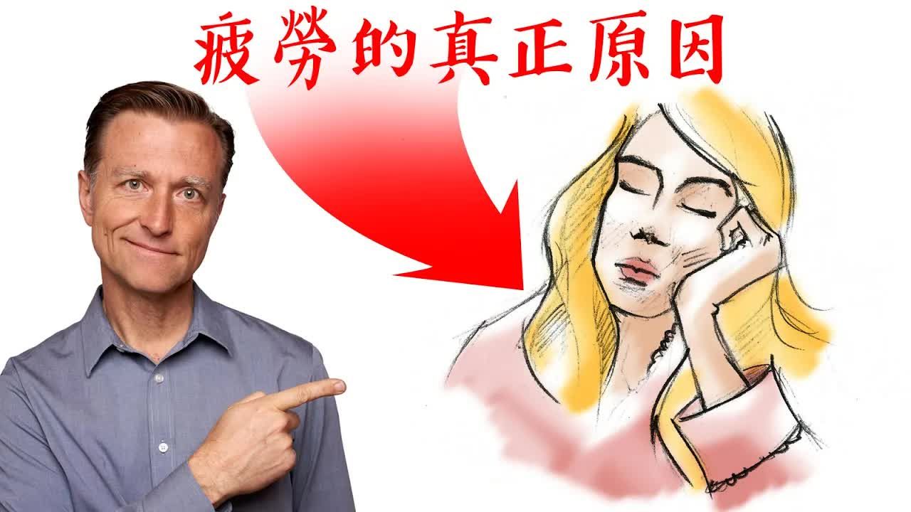 疲劳是因为缺乏哪种营养素?哔哩哔哩bilibili