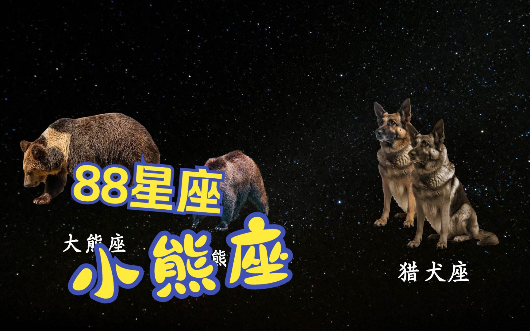 [图]小熊座  永远被猎犬追赶的星座