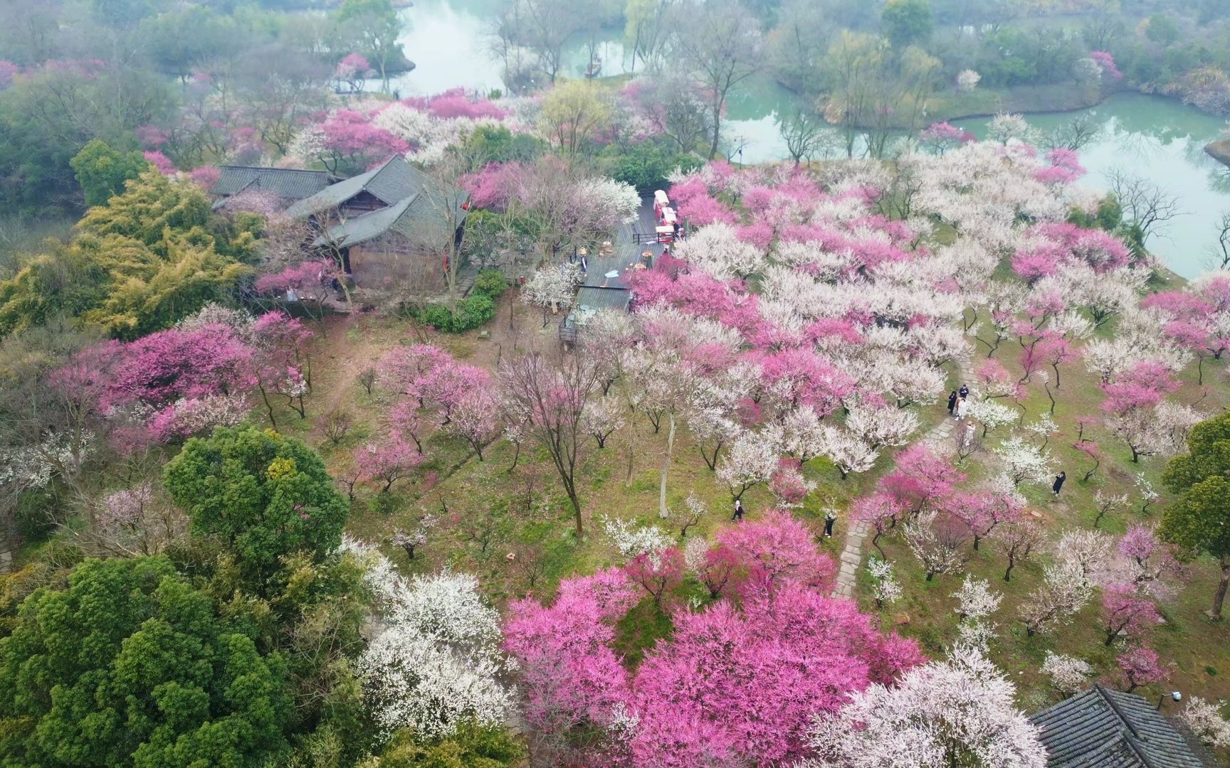 广西梅溪图片