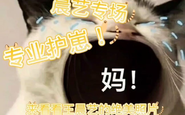 王晨艺的绝美照片哔哩哔哩bilibili