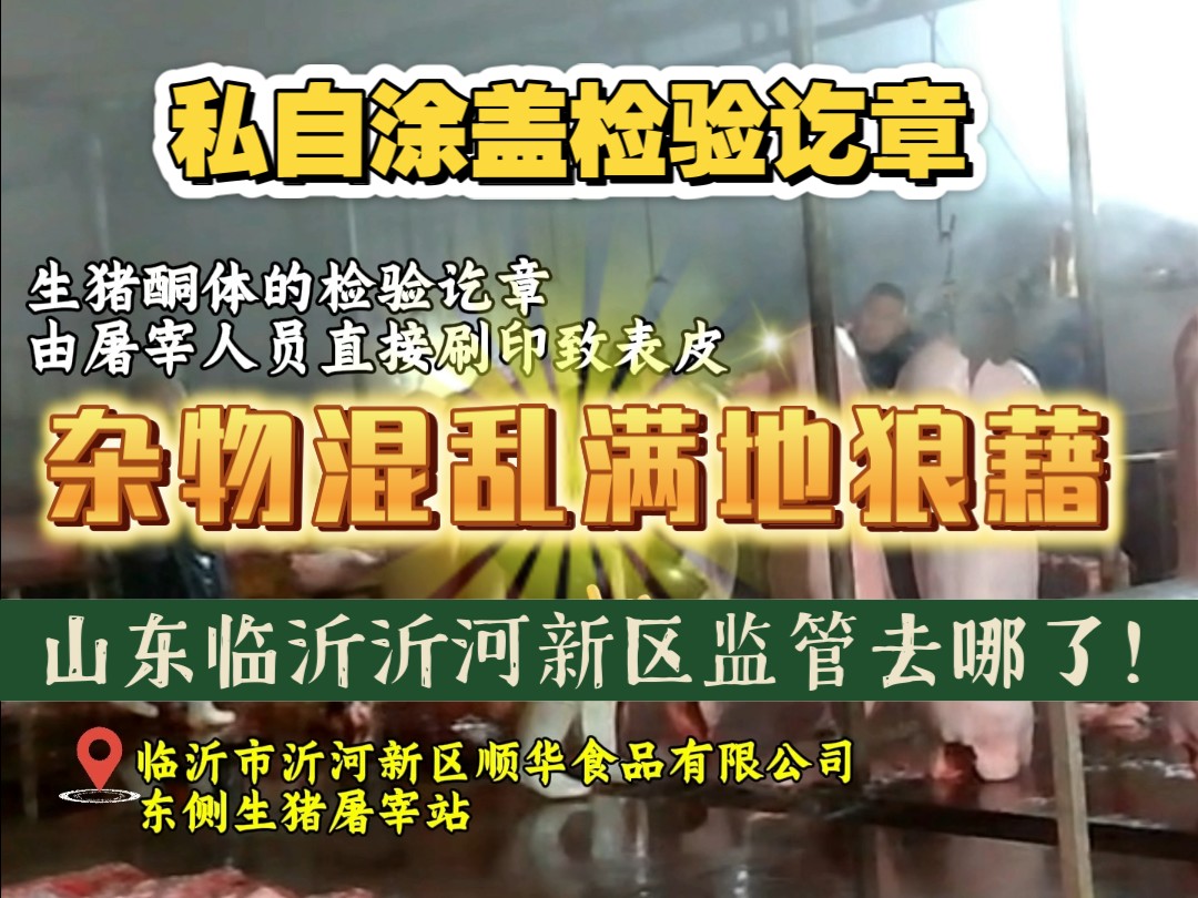 山东沂河新区食品厂真大胆肉品品质检验合格证都敢造假!还扰民污染!哔哩哔哩bilibili