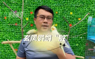 下载视频: 玄凤鹦鹉脏在哪里