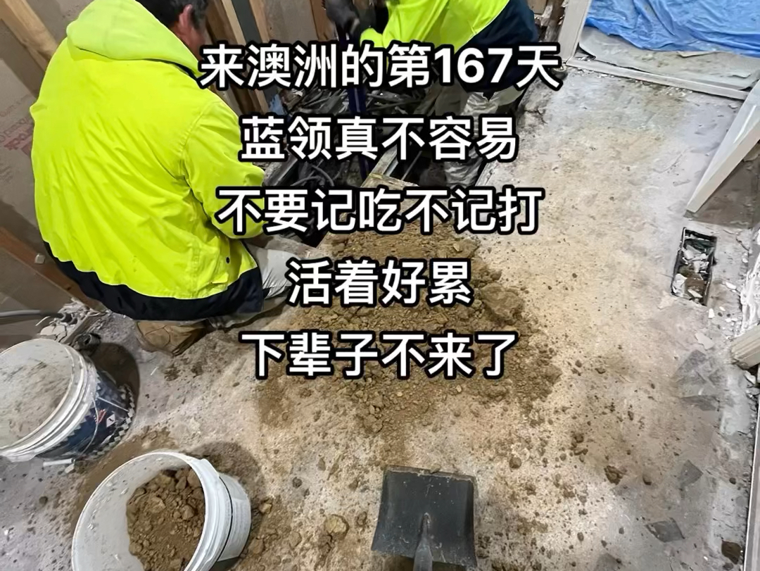 来澳洲的第167天,这里不是天堂,真不要来,又脏又累,不要看网上他们吹嘘那么好,下辈子我是不来了,中午嚼着冷饭,怀疑人生,跑那么远为了什么?...