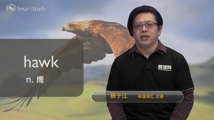 hawk哔哩哔哩bilibili