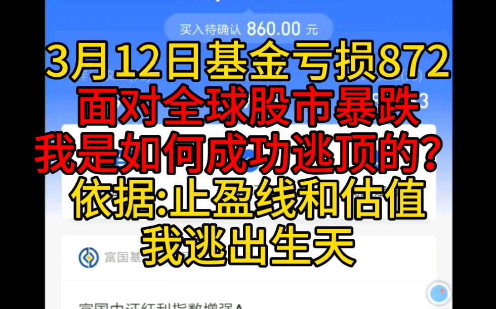 3月12日基金亏损872+面对全球股市暴跌,我是如何成功逃顶的?依据止盈线和估值,我逃出生天哔哩哔哩bilibili