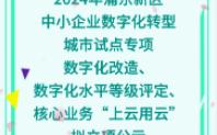 【浦东新区】:2024年浦东新区中小企业数字化转型城市试点专项(数字化改造、数字化水平等级评定、核心哔哩哔哩bilibili