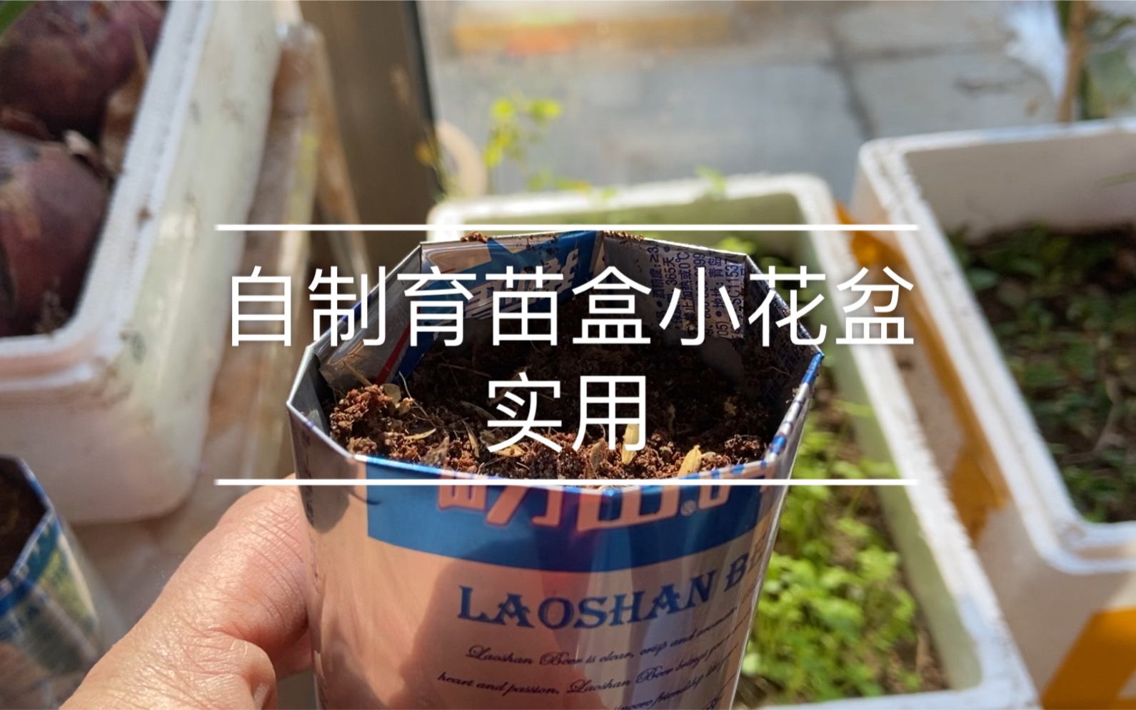 《闹市种菜》自制实用简单育苗盒,种菜也可以呢_哔哩哔哩_bilibili