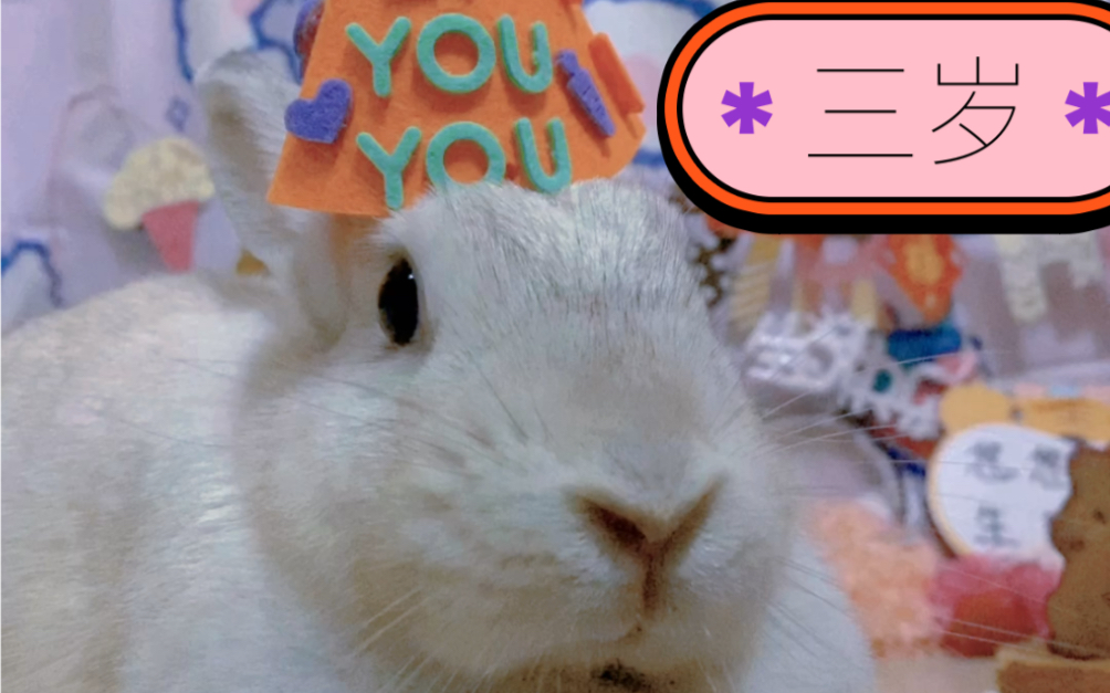 兔三岁生日视频