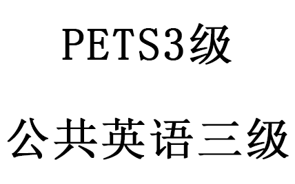 PETS3级 公共英语三级 pets3级哔哩哔哩bilibili