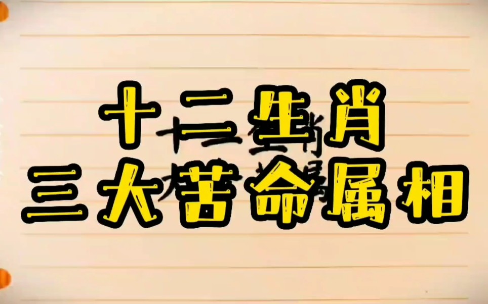 十二生肖,三大命苦属相,看看有没有你哔哩哔哩bilibili