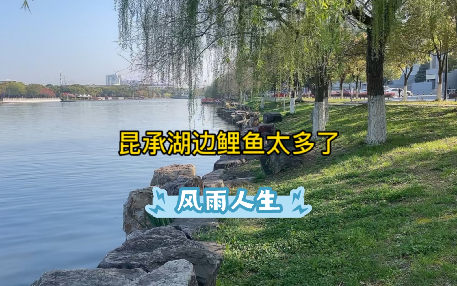 [图]今天在湖边，看看昆承湖的大美景！