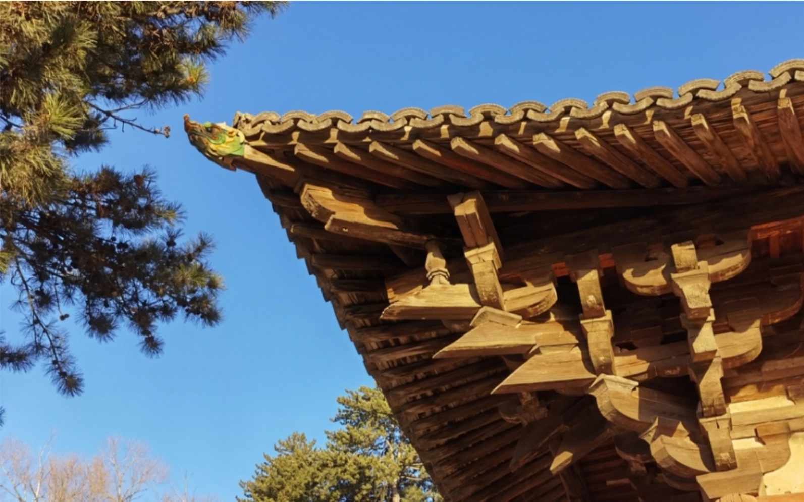 五台山佛光真容禅寺