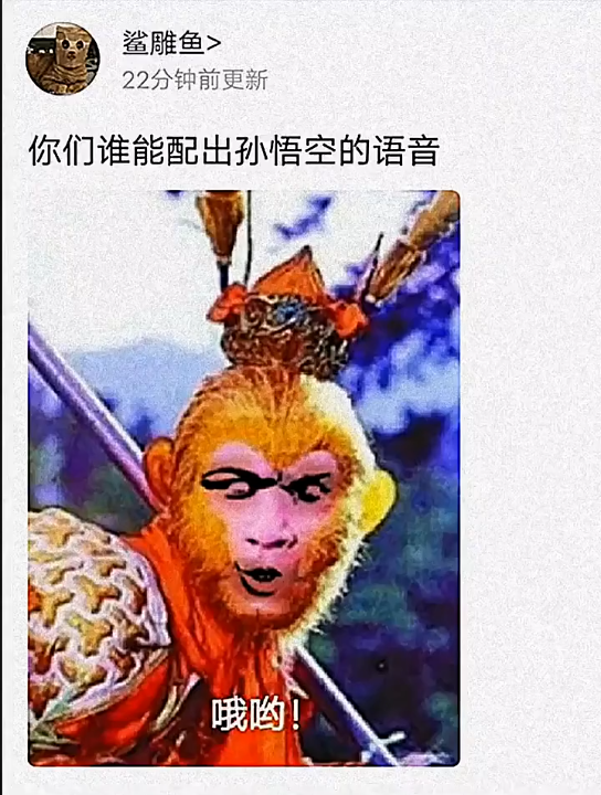 猴怎么叫?哔哩哔哩bilibili