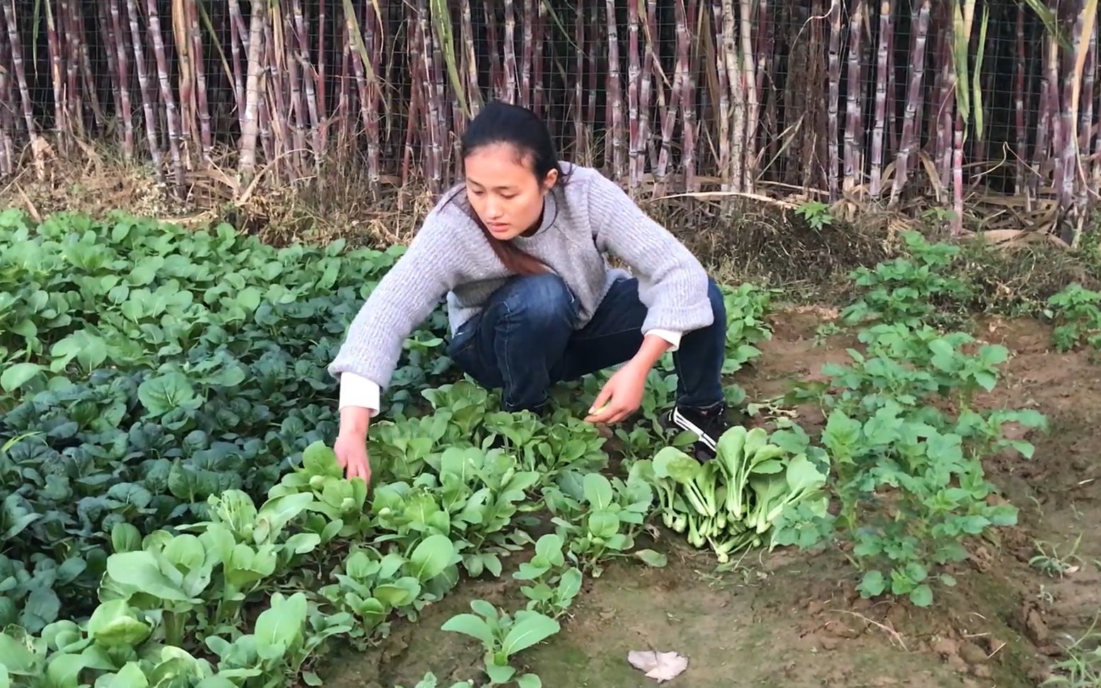 农村媳妇家新房已经盖好,小伙想给她补办一场婚礼,媳妇会愿意吗哔哩哔哩bilibili