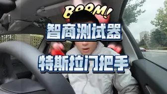 Download Video: 别的车门把手是用来拉的 特斯拉的门把手是用来测试智商的