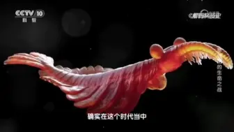 Download Video: 探秘古生物——寒武纪的生命之战