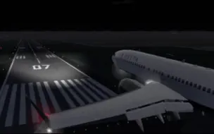 Video herunterladen: RFS，但是737-8落的最屑的一次