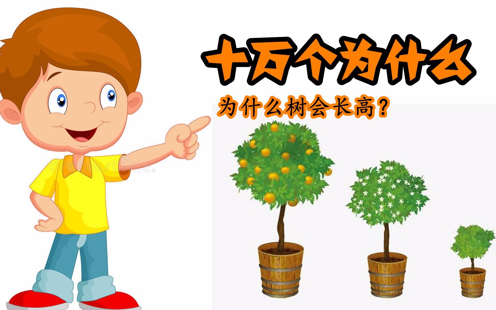 活动作品十万个为什么小树为什么会长高