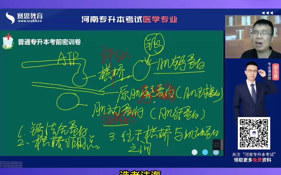 2022河南专升本考试邵玉普生理病理必备考点肌丝滑行哔哩哔哩bilibili