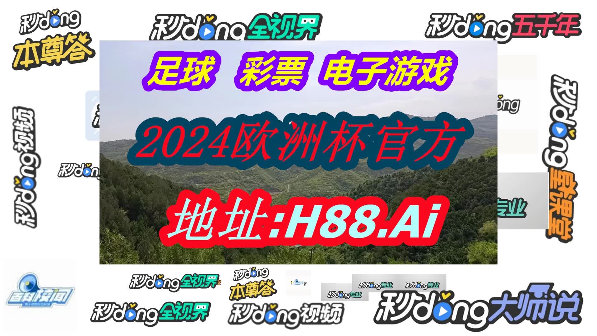 中国竞彩网(哔哩哔哩)377期