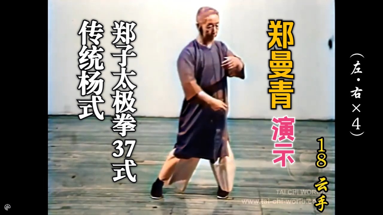 郑曼青老师杨式(郑子)太极拳37式演示(修复.彩色高清+特效字幕+如来藏)[▲rz]哔哩哔哩bilibili