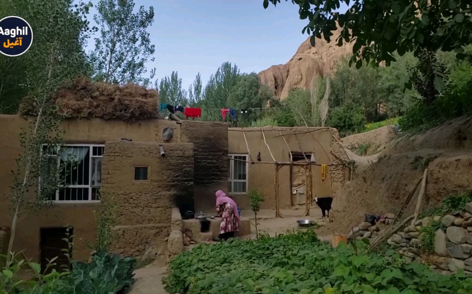 愉快地生活在一个美丽的花园房子里┅阿富汗山区农村生活