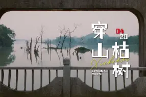 Download Video: 本以为水墨画是意境，没想到是写实