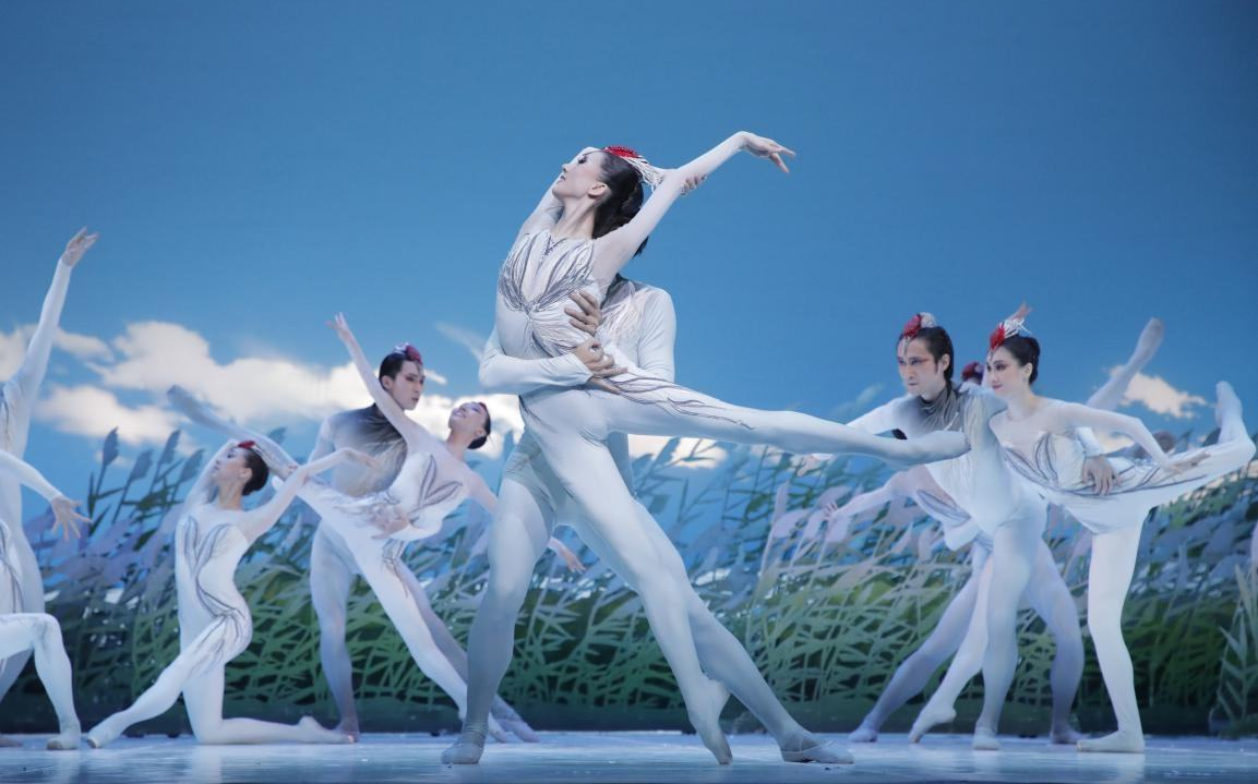 芭蕾舞剧鹤魂第一幕表演者中央芭蕾舞团