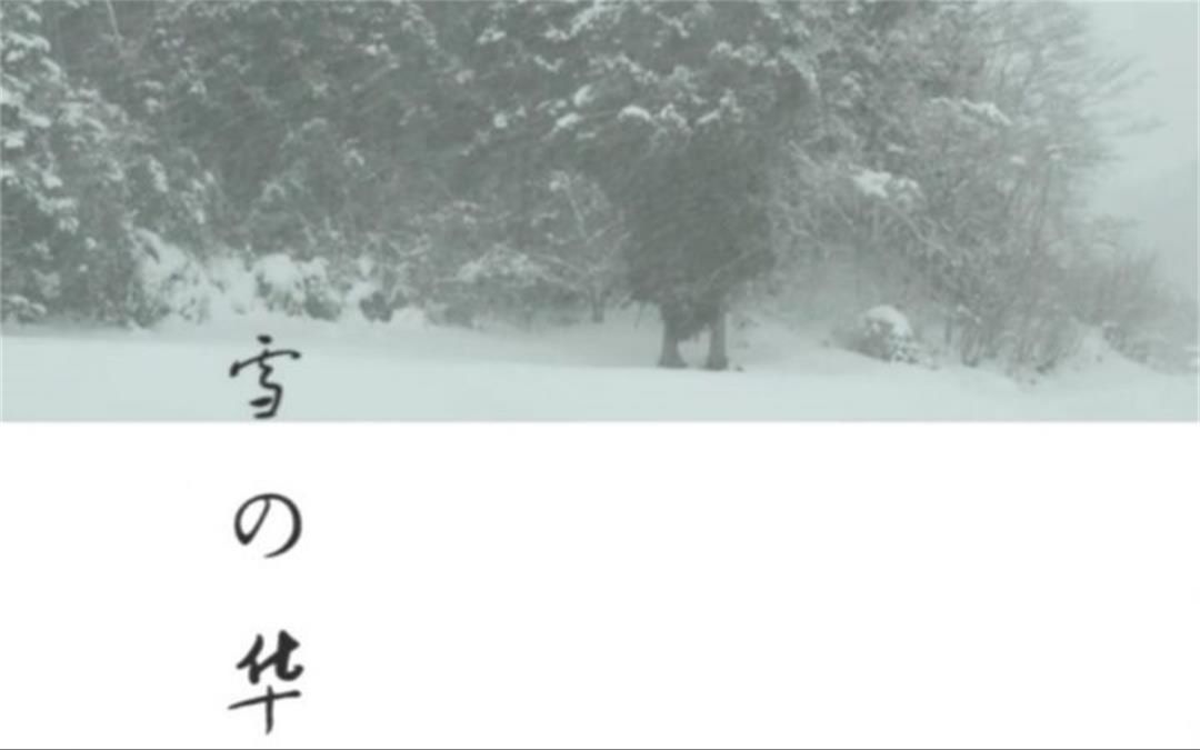 [图]【雪之华/对不起我爱你】各语言版本合集 中岛美嘉/朴孝信/韩雪/苏志燮/郑云龙蔡程昱