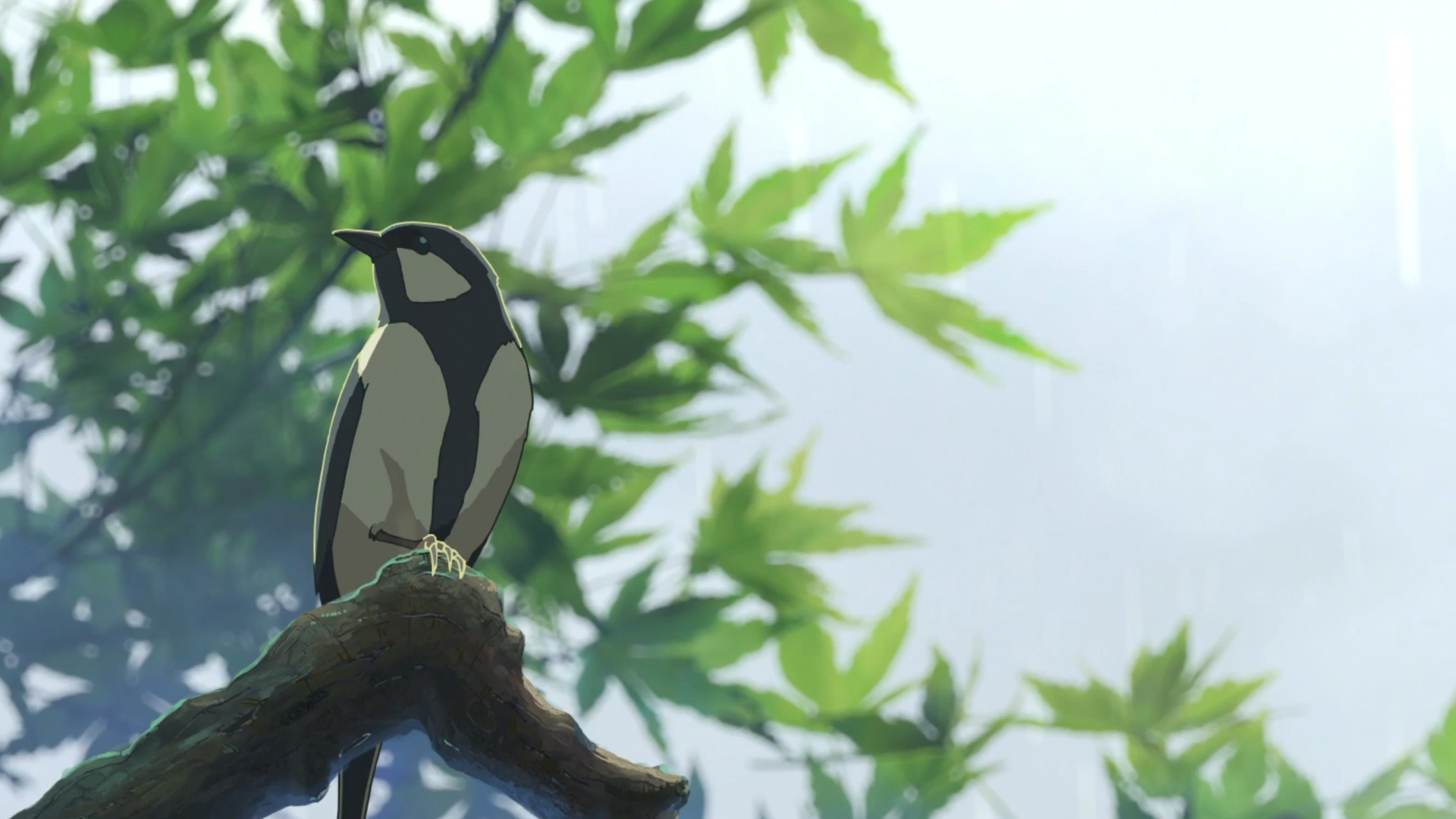 新海诚的景和人都很美