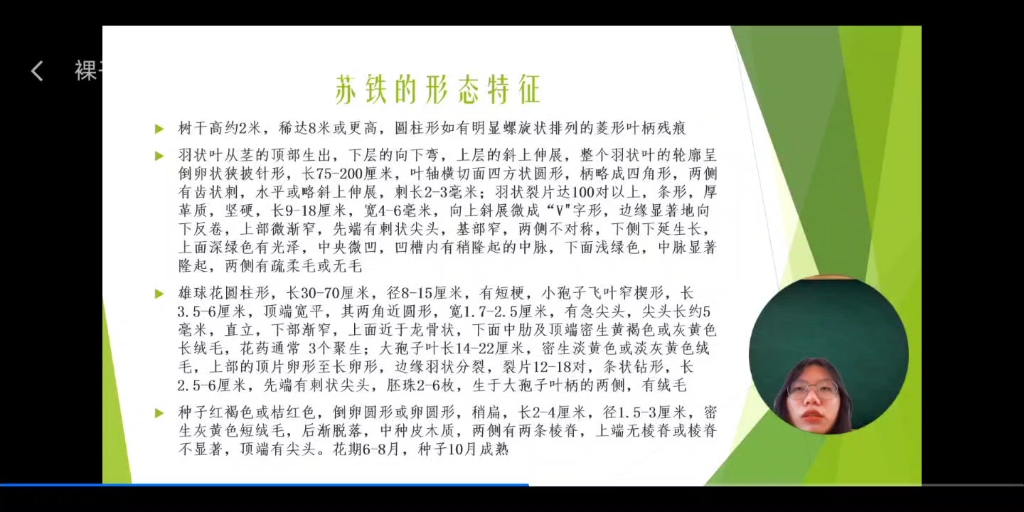 《裸子植物——苏铁的介绍》