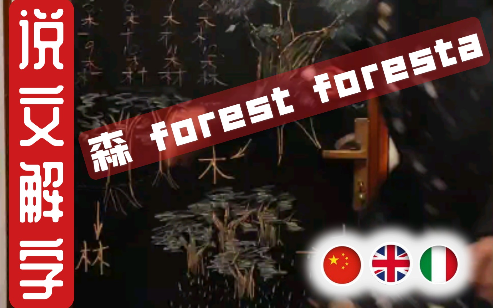 44说文解字(森/forest/foresta)哔哩哔哩bilibili