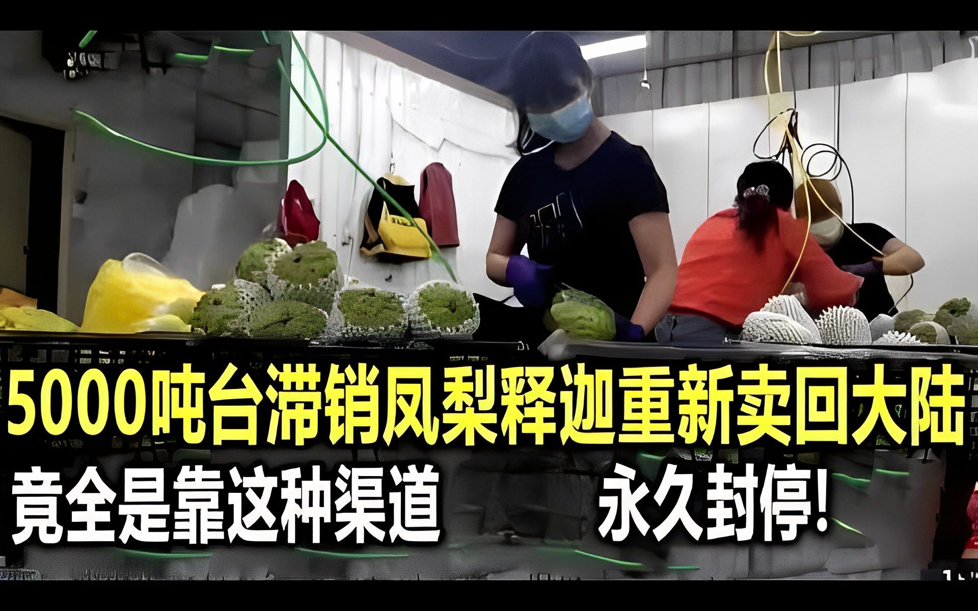 5000多吨台滞销凤梨释迦重新卖回大陆,竟全是靠这种渠道,永久封停哔哩哔哩bilibili