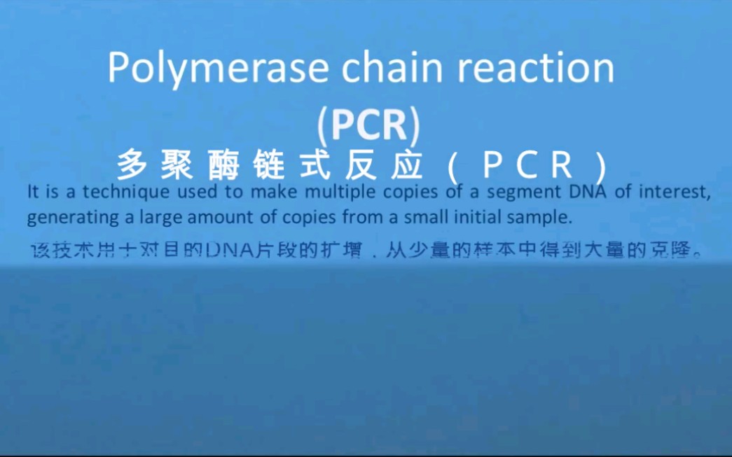 高中生物PCR反应哔哩哔哩bilibili